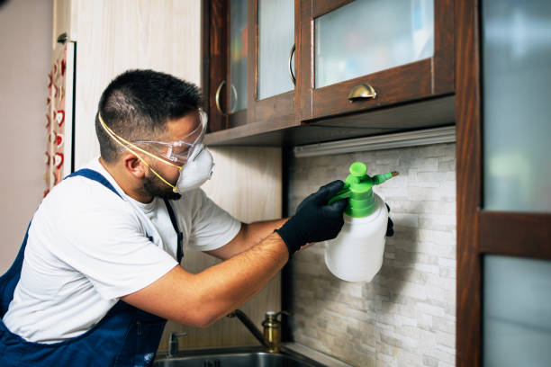 Best Pest Inspection Near Me  in Stinnett, TX