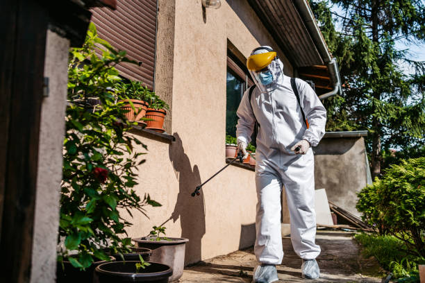 Best Affordable Pest Control Services  in Stinnett, TX
