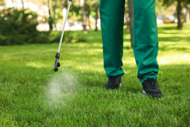 Best Rodent Control Near Me  in Stinnett, TX
