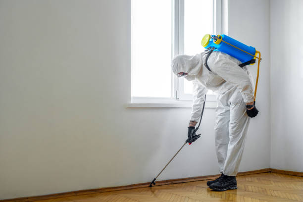 Best Flea Control Services  in Stinnett, TX