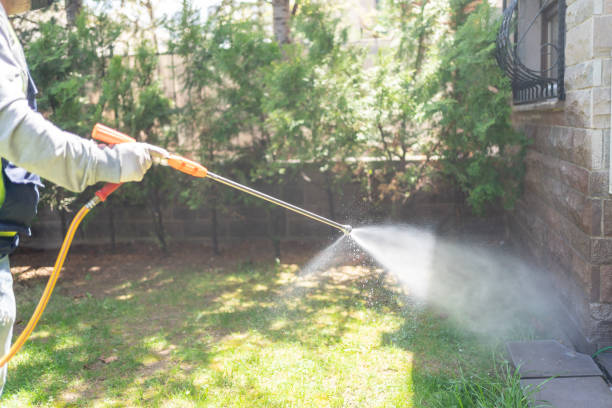 Best Spider Control Near Me  in Stinnett, TX