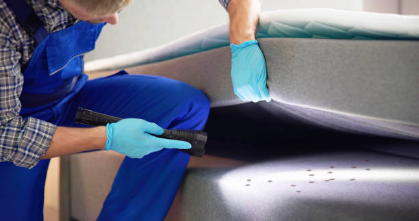 Best Bed Bug Extermination  in Stinnett, TX